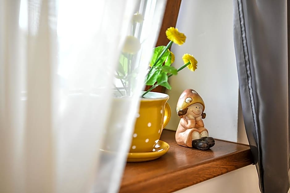 É-Vaskó Panzió Borpince