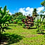 Volcano Lodge, Hotel & Thermal Experience