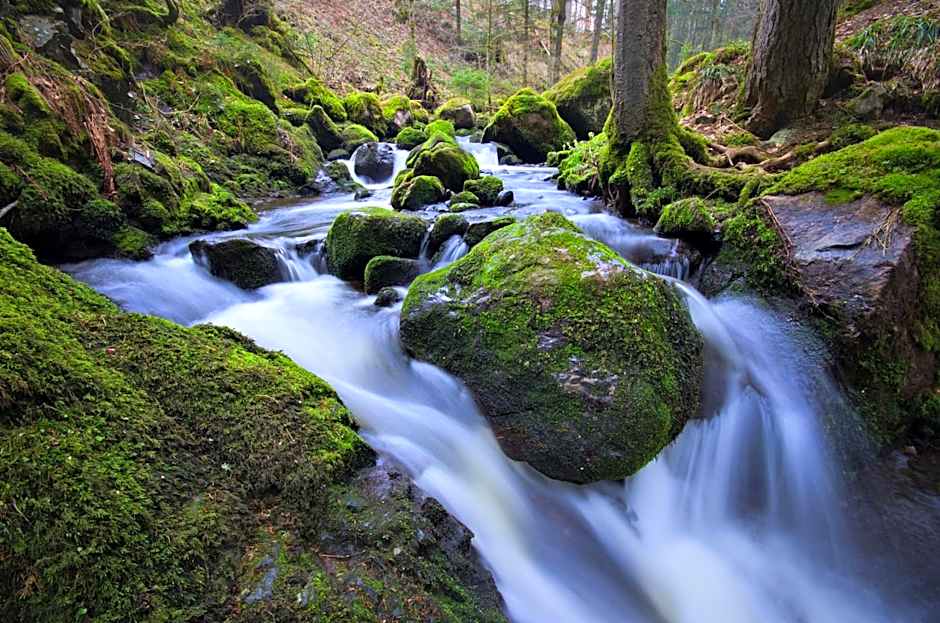 Hotel Hofgut Sternen - Ravennaschlucht
