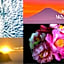 hotel MOANA - Vacation STAY 76518v