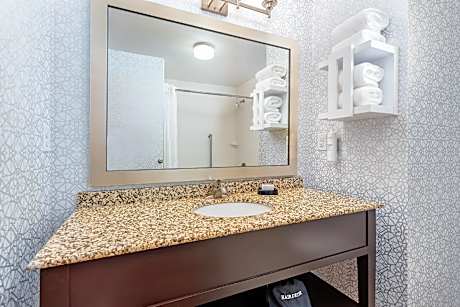 1 King Hearing Accessible W/sofabed Nosmok Vis Firealrm/door/phn Alrt/hdtv Microwv/fridge/free Wi-fi