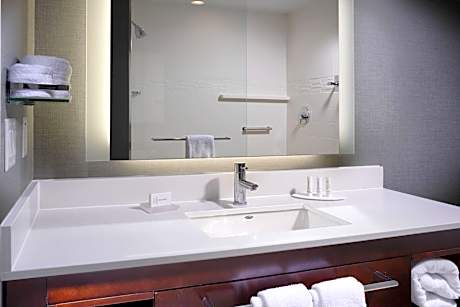 Suite, 1 Bedroom (1 King Bed and 1 Double Sofa Bed)