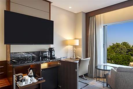 Deluxe King Room With Partial Bosphorus View