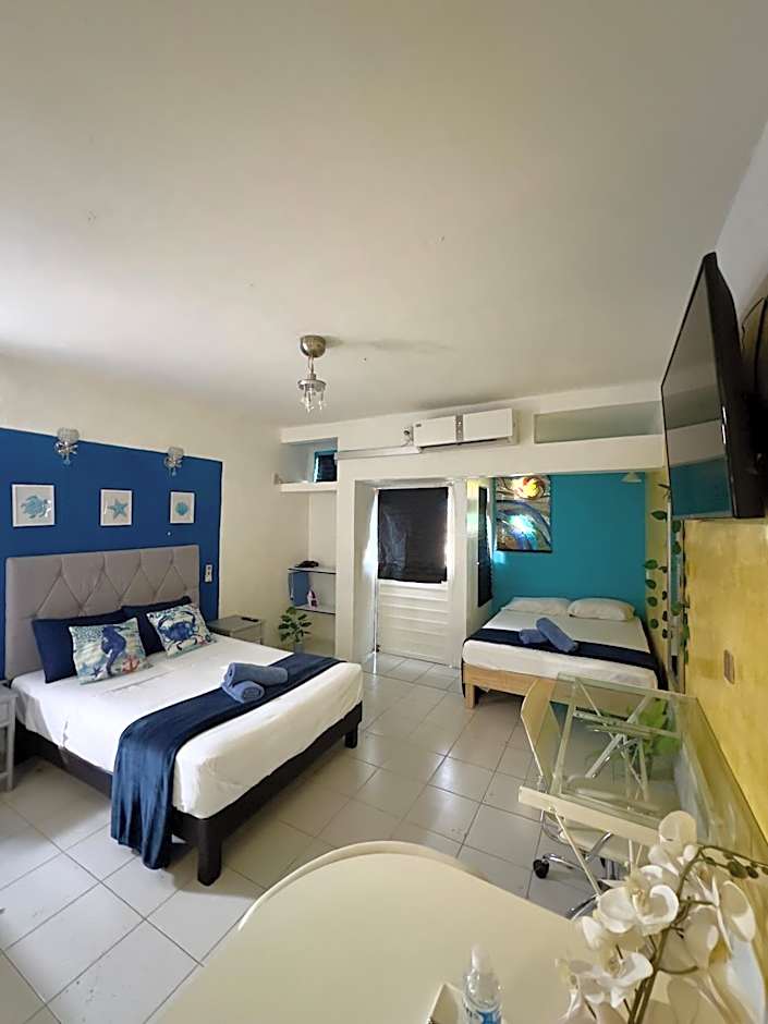 Suites Brisa Marina - atrás de Playa Regatas y el Malecón, 6 calles del Acuario