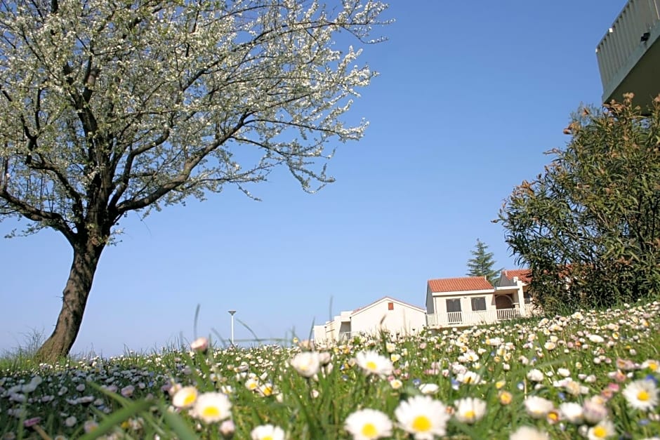 Apartments Polynesia Plava Laguna