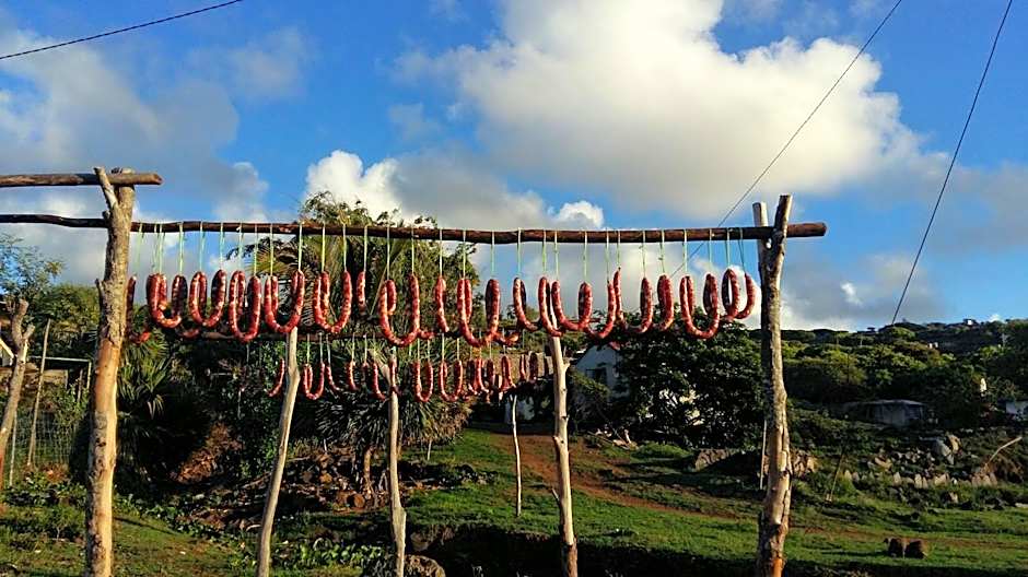 Tigraviers Bed & Breakfast