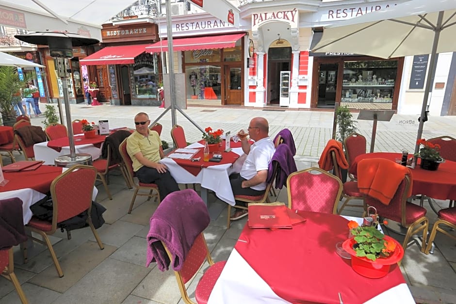 Hotel Palacky