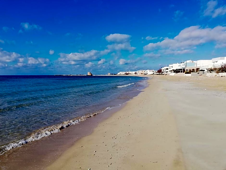Antica Masseria Ficazzana - Tenuta