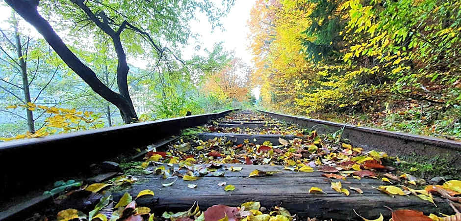 Hotel Bradul - Covasna