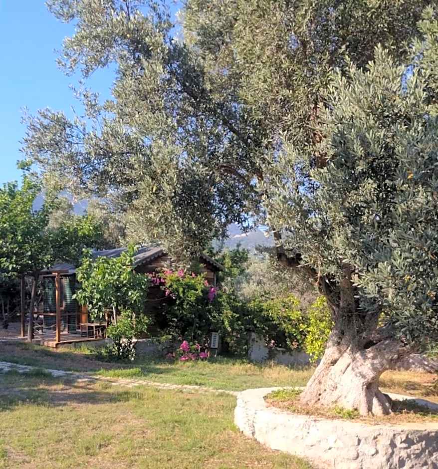 Bahar Bahce Datca