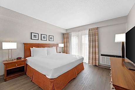 One-Bedroom Deluxe King Suite - Non-Smoking
