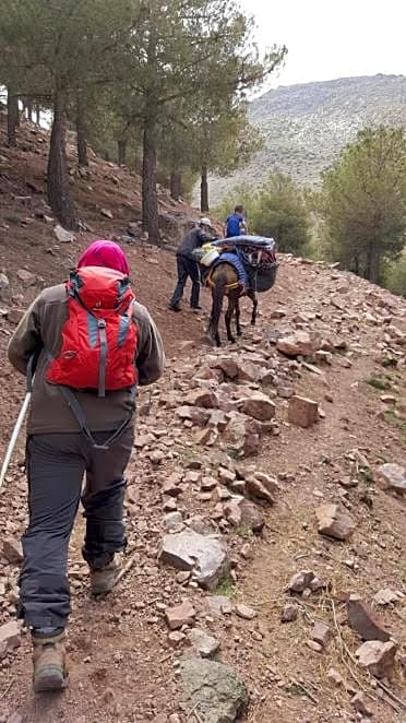 Tamatert Guest House