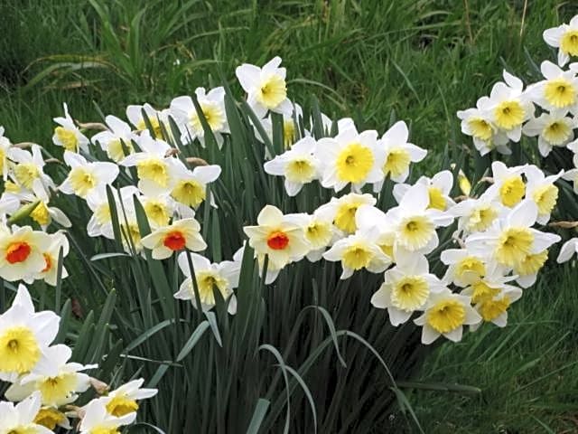 Chambres d'hôtes " Moulin du Couedic "