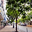 City Hotel Pforzheim