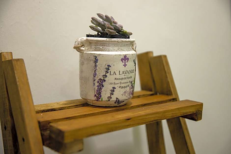 Hotel Casa Jima Agave