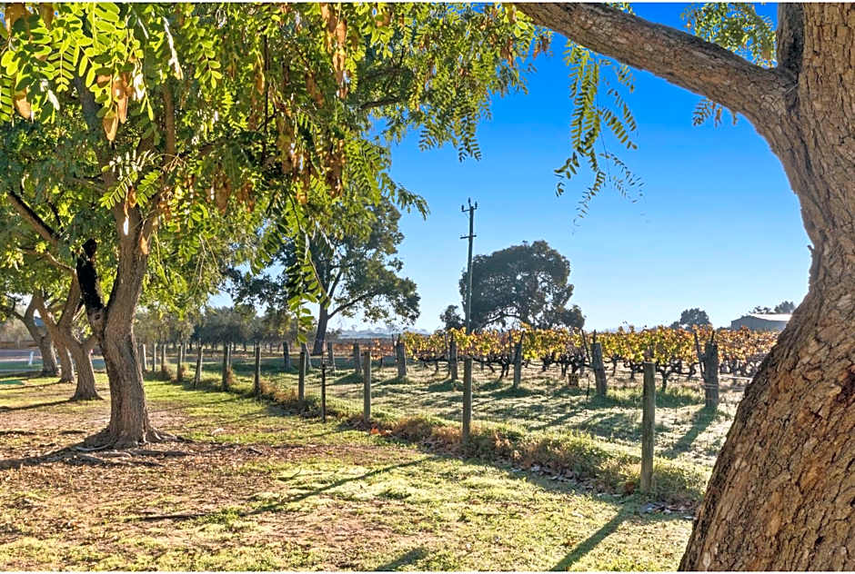 Discovery Parks - Swan Valley