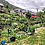 Boutique Finca esencial Hotel Rural