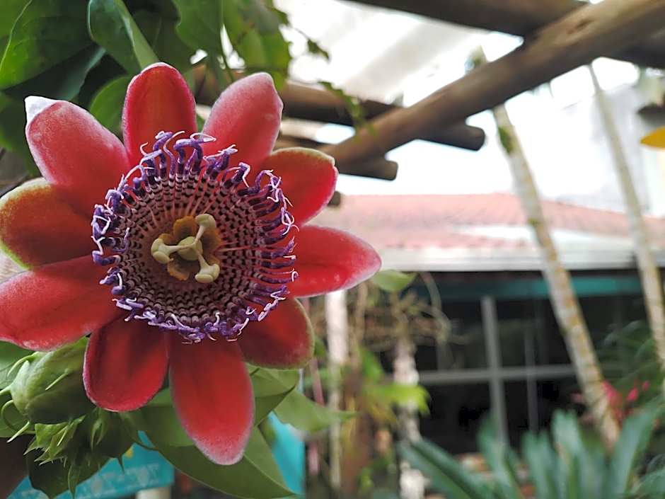 Pousada Gaucha Caiobá