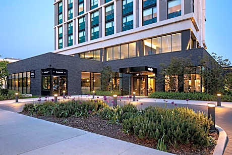 The Study at the University of Chicago