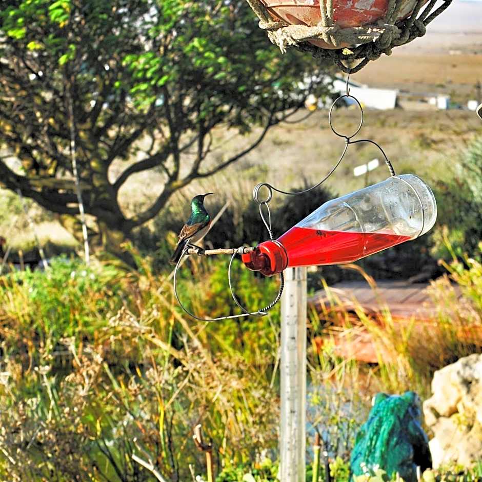 Farr Out Guest House