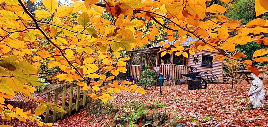 The Miners Log Cabin