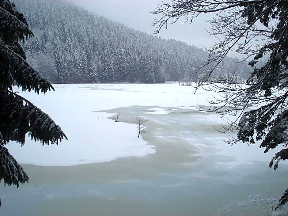 Domaine Des Hauts Viaux