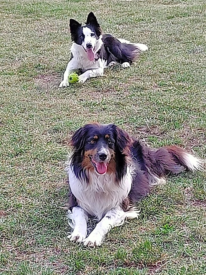 B&B Cascina Sant'Elena