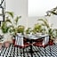 Wanderlust A Boutique Homestay
