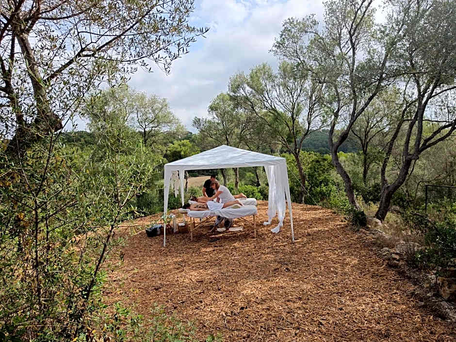 Fincahotel Treurer - Olive Grove & Grand House - Adults Only