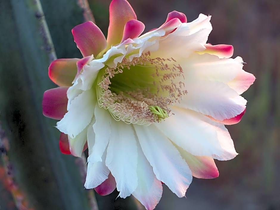 B&B Al Salvatore Di Lipari