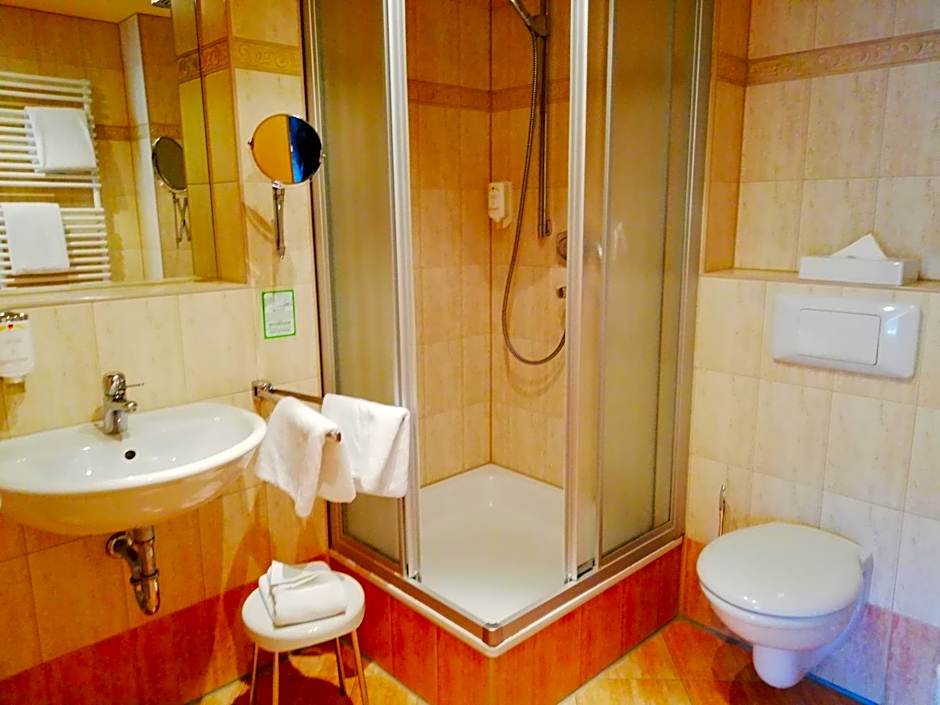 Parkhotel Bad Schandau mit SPA