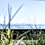 Seehotel Litz