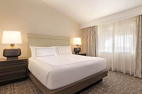 1 King Bed 1 Bedroom Suite