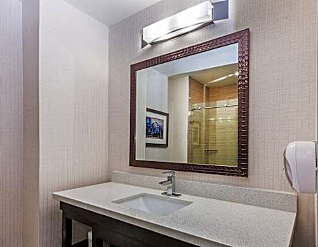 1 King Bed Suite Pool View