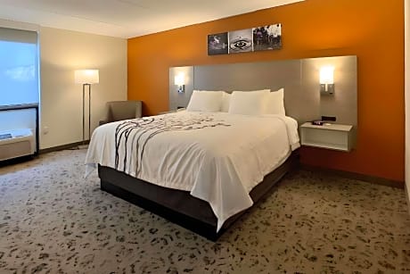 1 King Bed Suite Nonsmoking