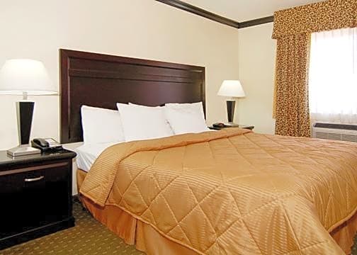 Comfort Inn Near Universal Studios