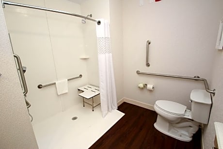 1 King Mobility/Hearing Acc Ri Shower Nosmok