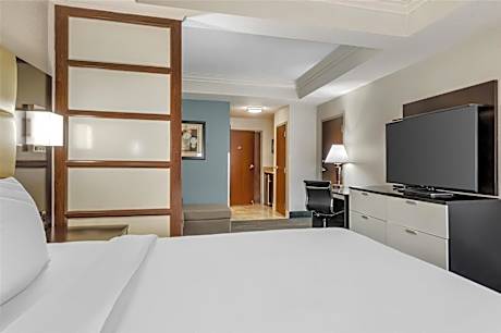 King Suite with Sofa Bed and Bathtub - Disability Access/Non-Smoking