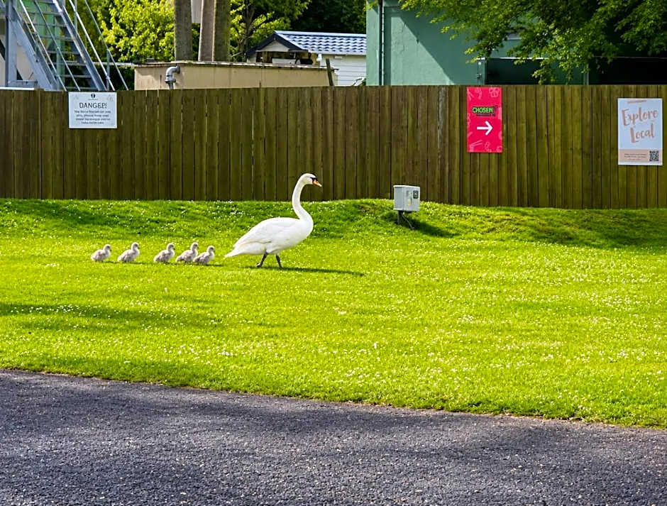 Prestige Static Caravan on 5 Star Holiday Park