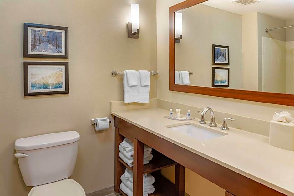 Comfort Suites Lancaster Amish Country