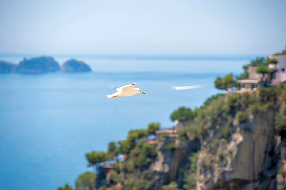 CASA CAPRILE POSITANO