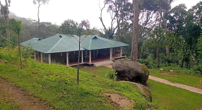 Neelakurunji Plantation Munnar