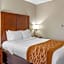 Comfort Inn Syosset-Long Island