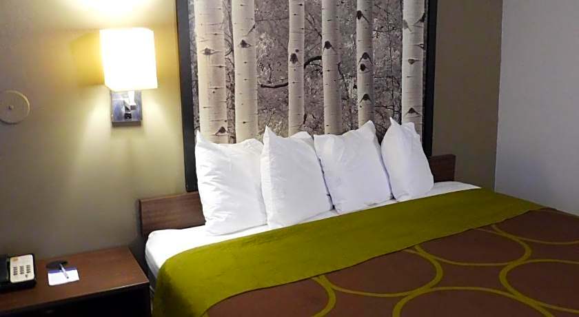 Super 8 by Wyndham Westminster Denver North