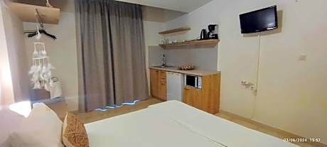 Studio with Garden View