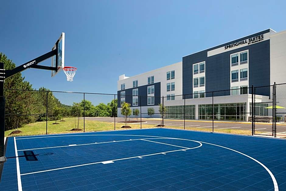 SpringHill Suites by Marriott Roanoke North