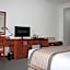 Draco - Thang Long Hotel