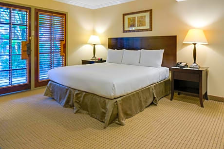 One-Bedroom Suite with Sofa Bed