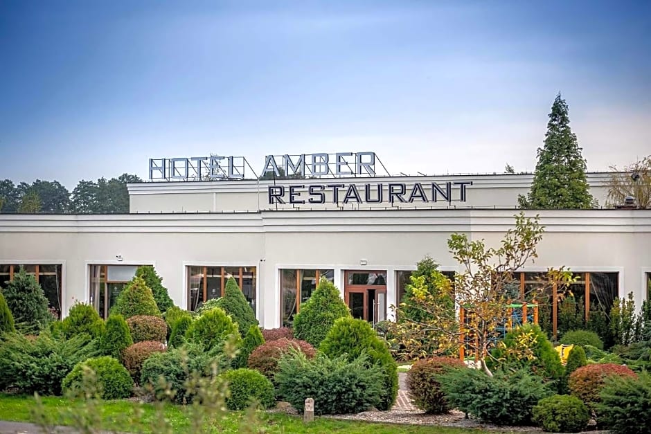 The Amber Business & Spa Hotel