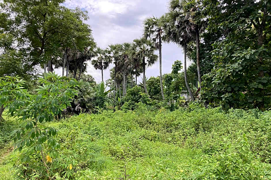 Hotel O Desa Wisata Dalegan